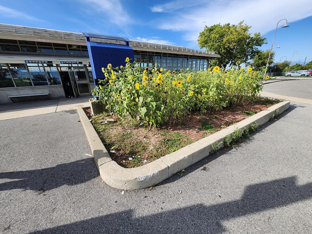 Dorval railway station in Montréal, photographed in September 2026.