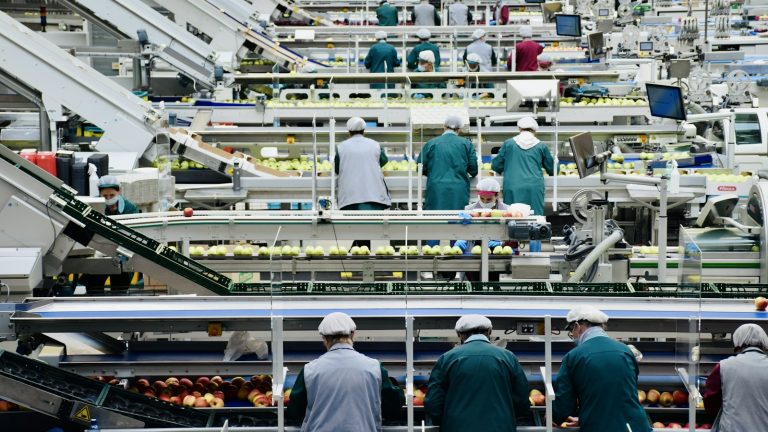 Workers and automated lines inside an apple processing facility