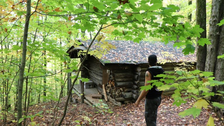 Person walking through a forest beside a log cabin