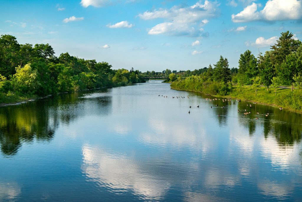 A calm freshwater river reflecting blue sky and green trees.