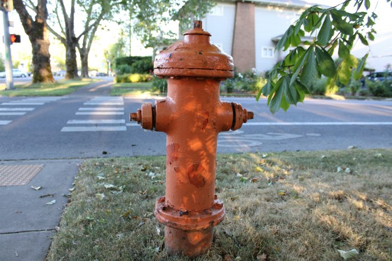 Orange fire hydrant beside a quiet residential street, illustrative stock image