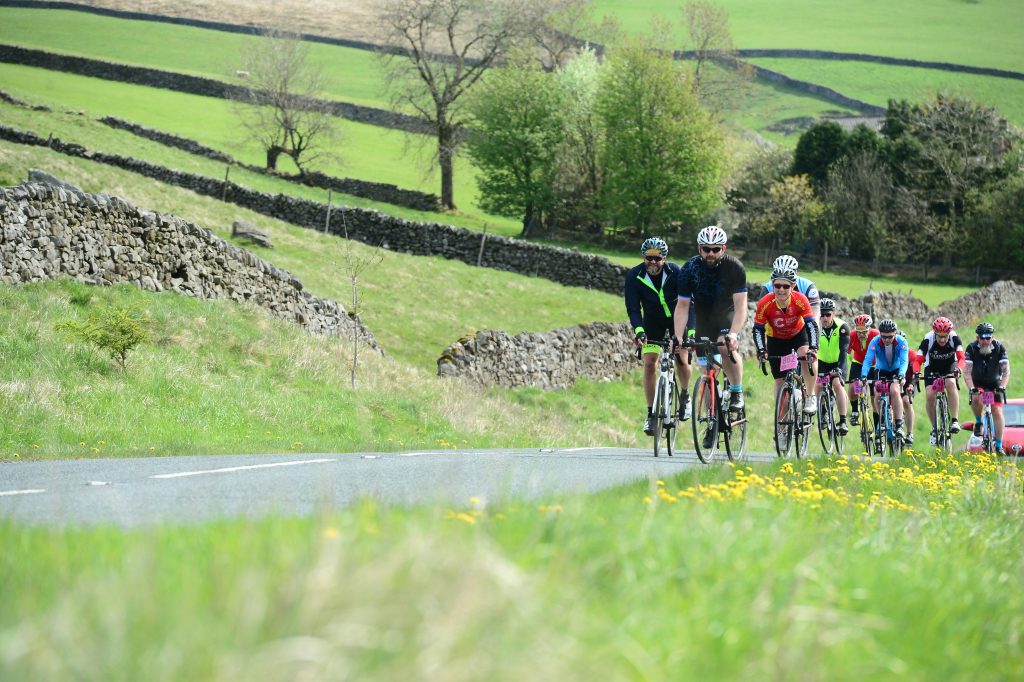 Group of road cyclists climbing a rural hill, illustrative stock image.