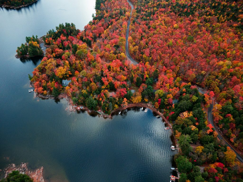 Aerial view of an autumn forest and lakeshore in northern Ontario