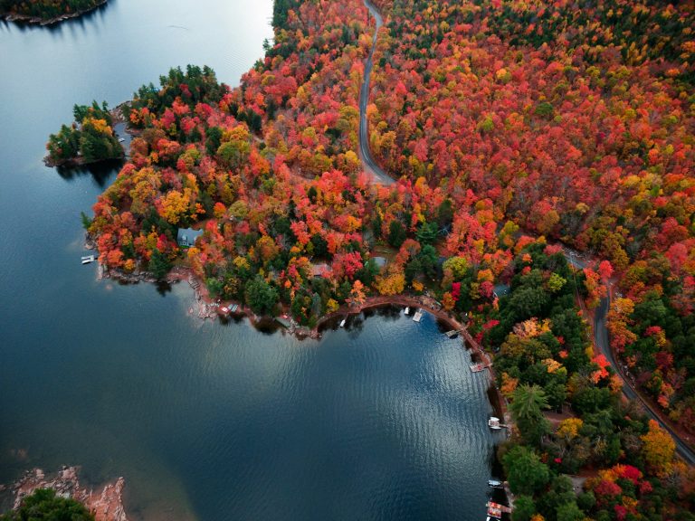 Aerial view of an autumn forest and lakeshore in northern Ontario