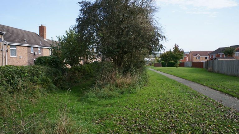 A grassy suburban green space with mature trees, homes and a paved walking path.
