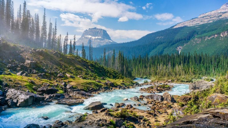 Mountain river flowing through a Canadian forest, illustrating national water security