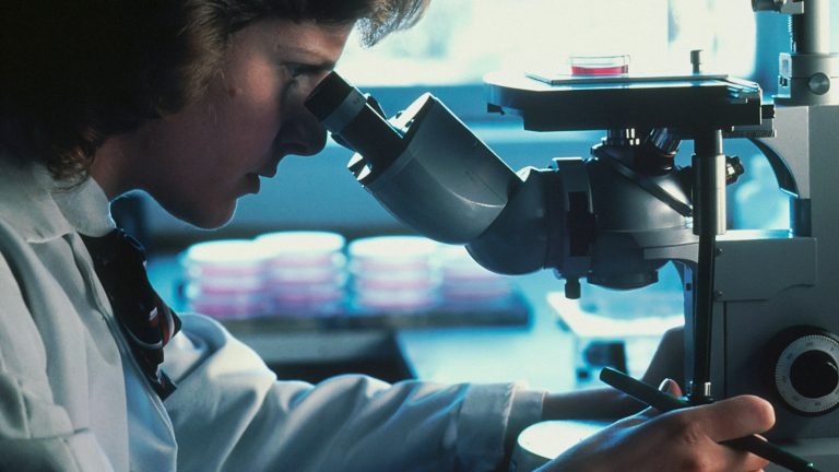 Federal research package includes Université de Montréal cancer ...
