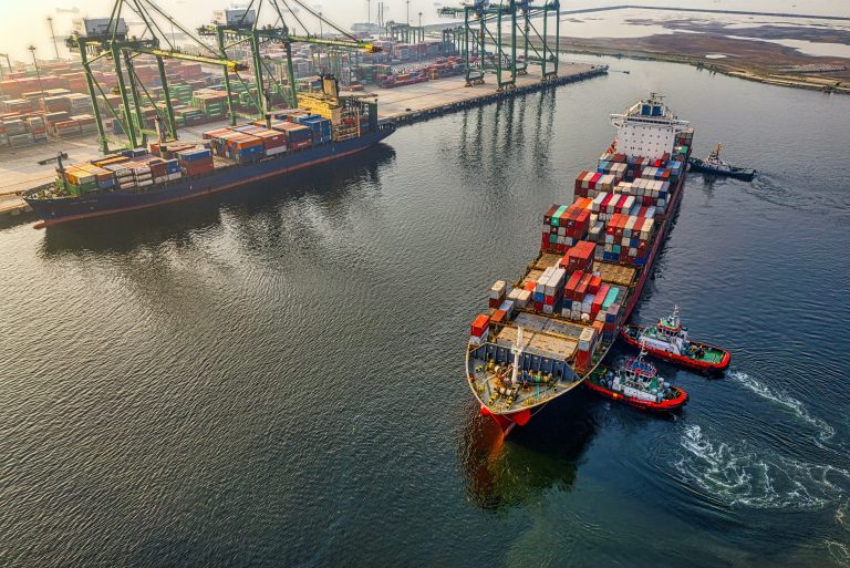 Container cargo and logistics infrastructure