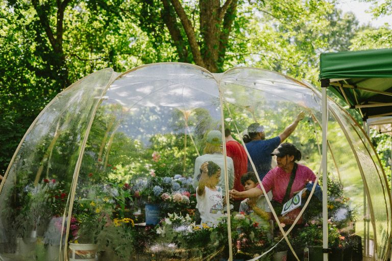 Small greenhouse structure in a wooded community setting