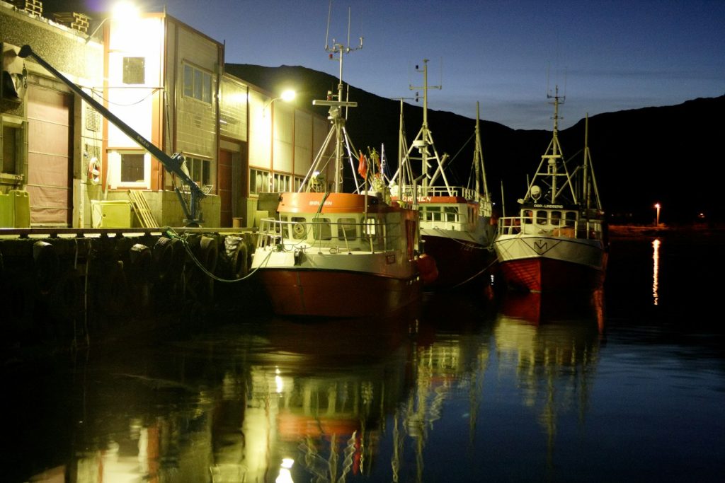 Fishing boats at a coastal harbour in an Arctic landscape