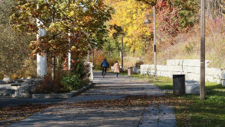 A cyclist and pedestrian using a paved path through an autumn park
