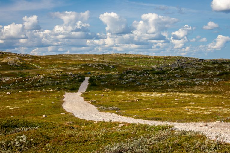 Dirt road winding through a grassy landscape, illustrative image for an access-road project