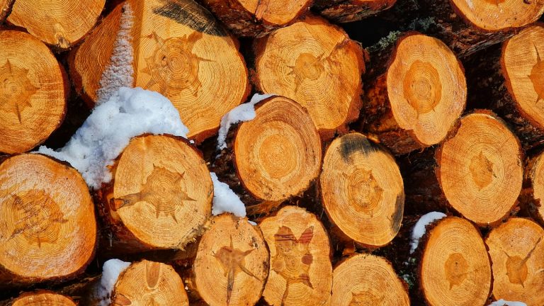 Cut logs stacked outdoors with snow between them