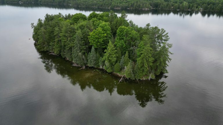 Aerial view of a small wooded island in a calm lake